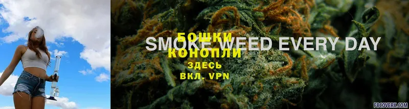 Каннабис SATIVA & INDICA  Правдинск 